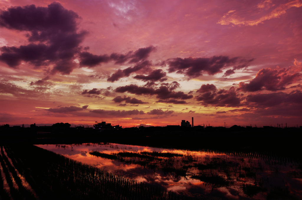 梅雨明けの夕焼け