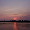 水田と夕日