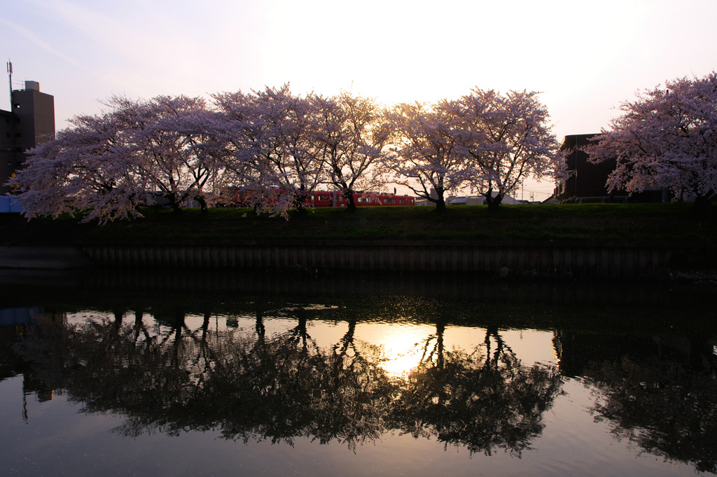 桜と名鉄