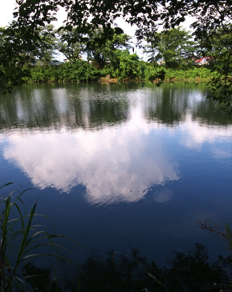 川面の夏