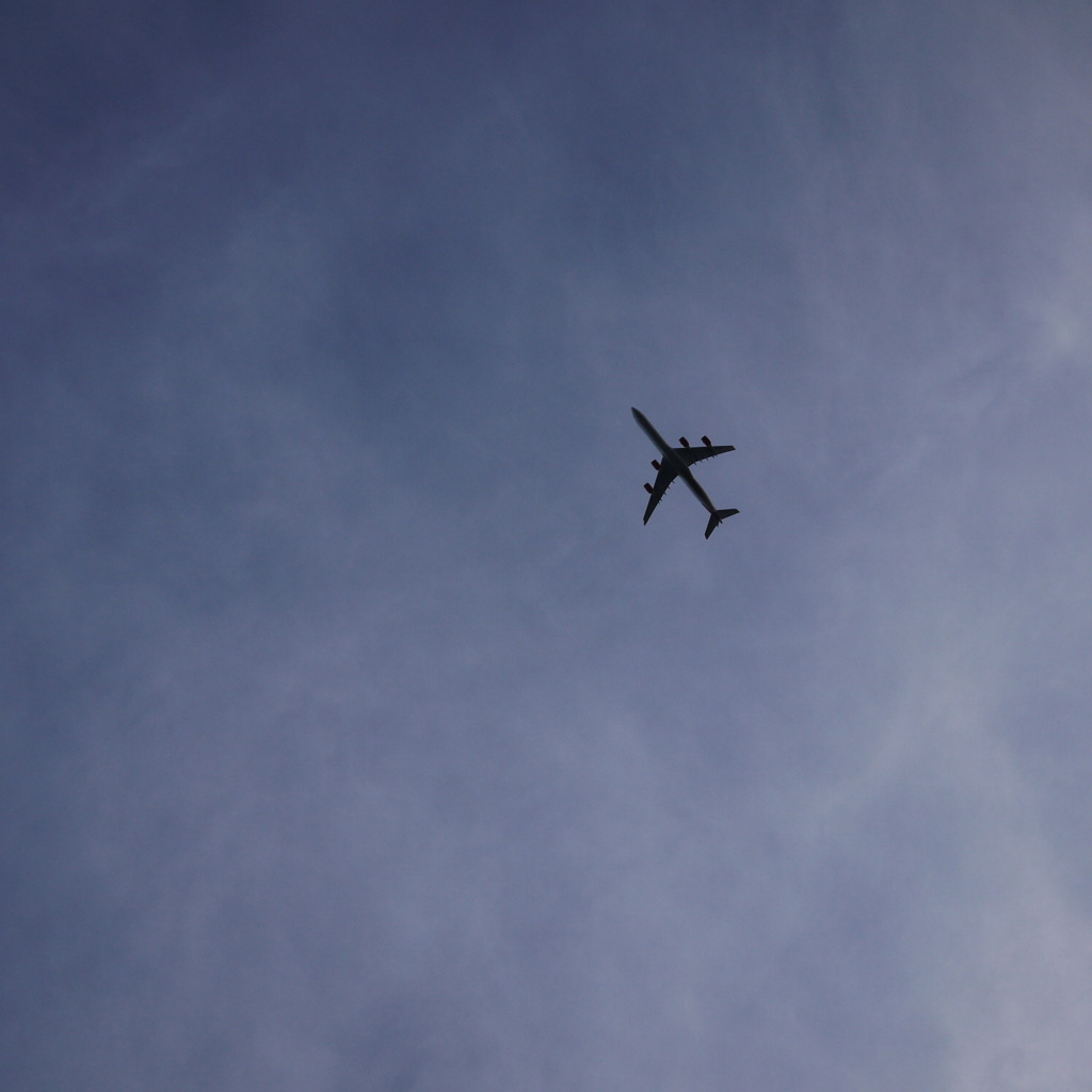 Fly