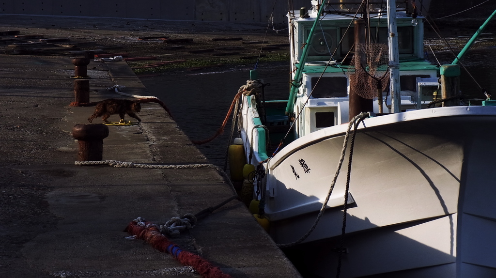 岩船のラッキー