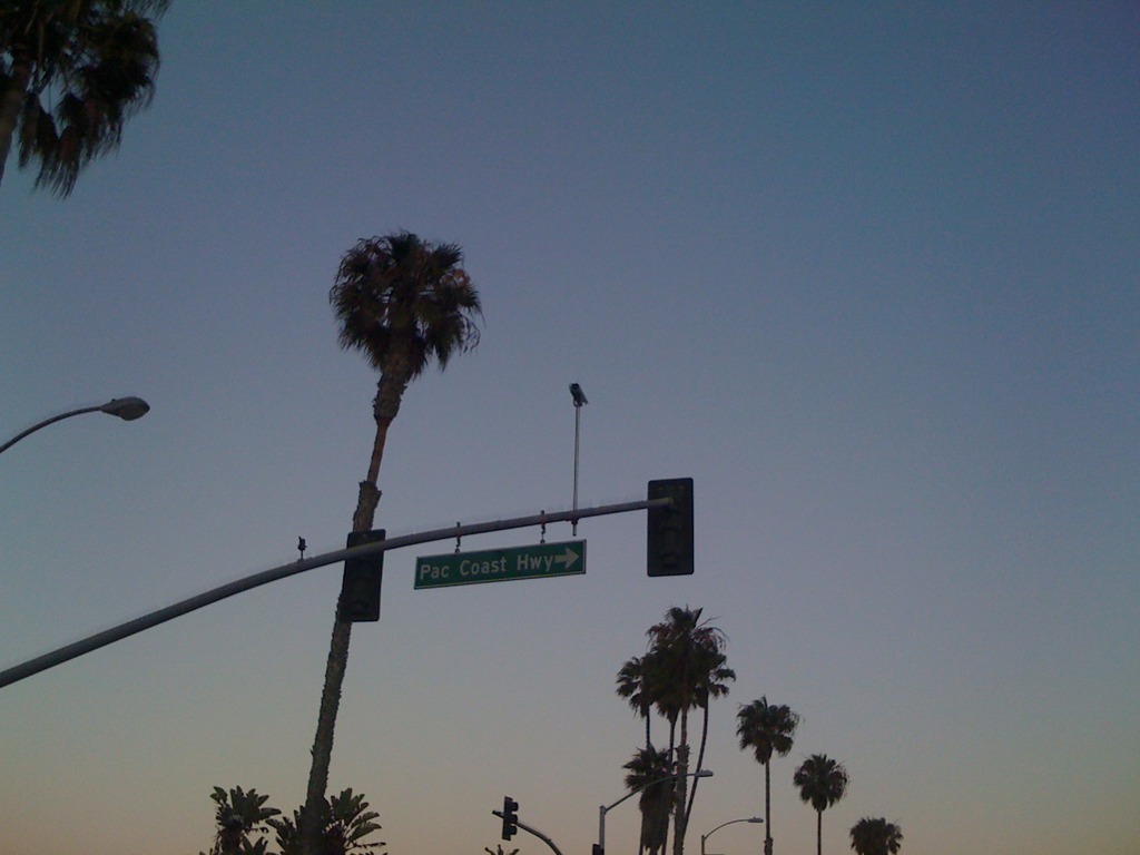 LA trip 2009-15