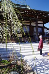 小春の光受寺