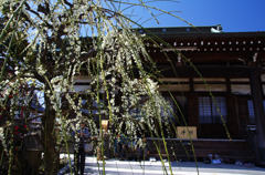 小春の光受寺