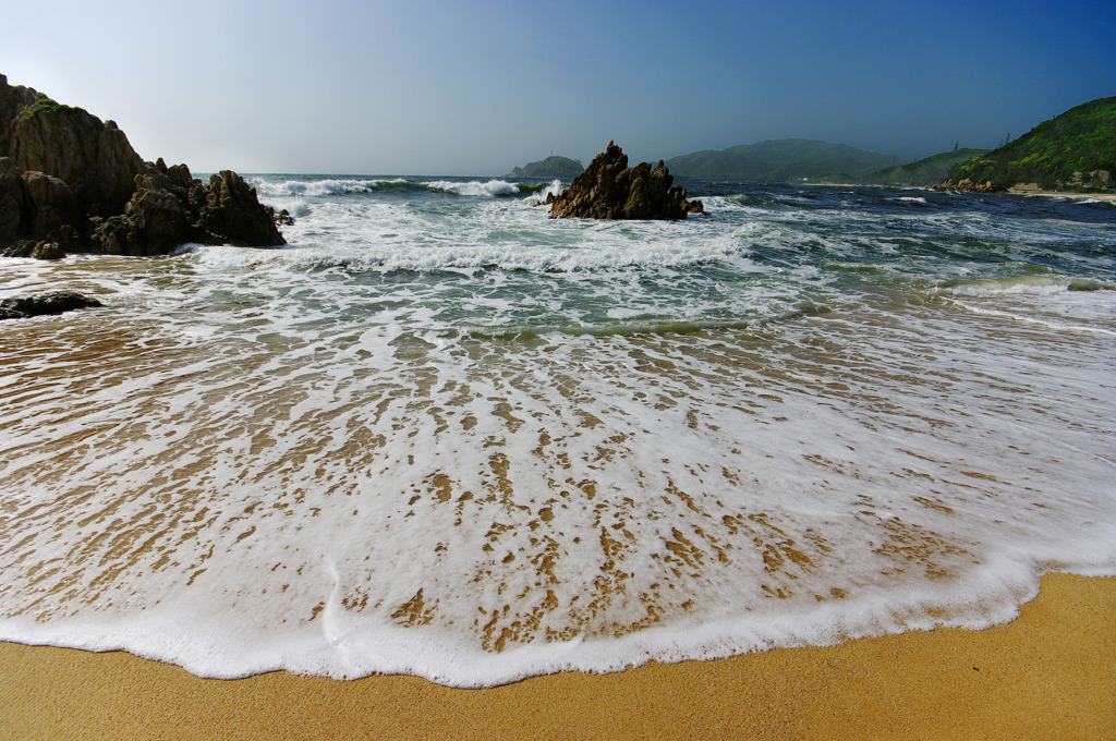 夏真近