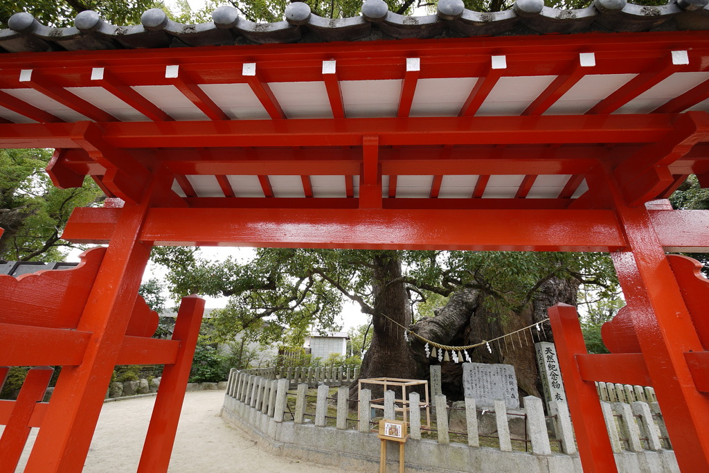 gate