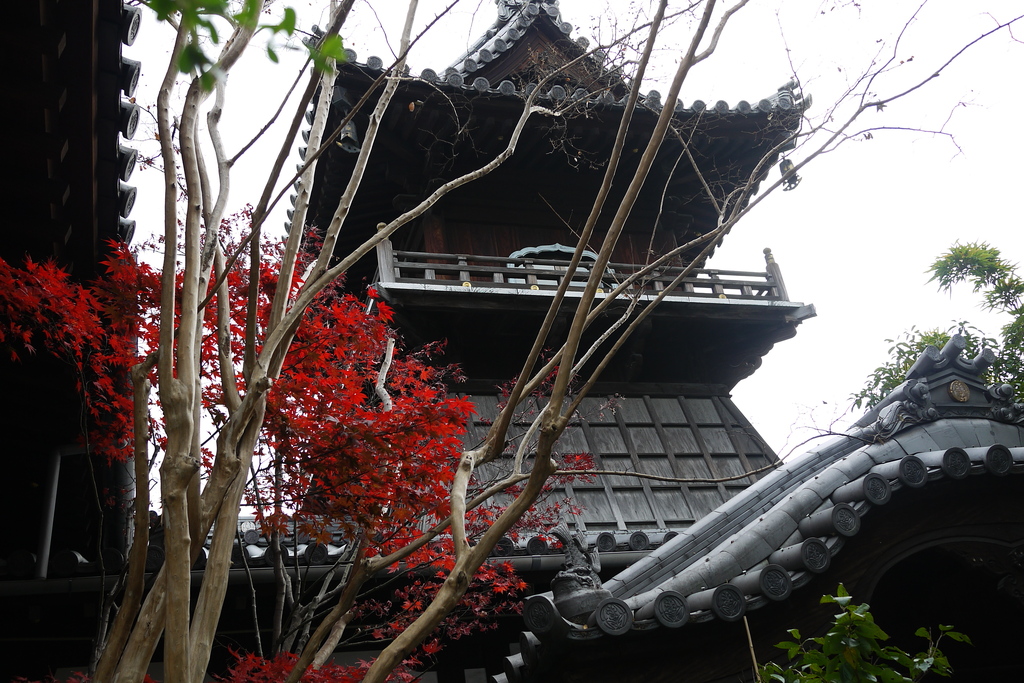 なんとか寺