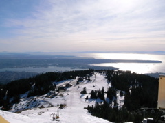 Grouse Mountainからのバンクーバーの眺め