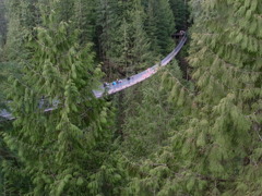 Capilano Suspension Bridge