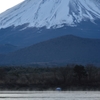 精進湖の朝