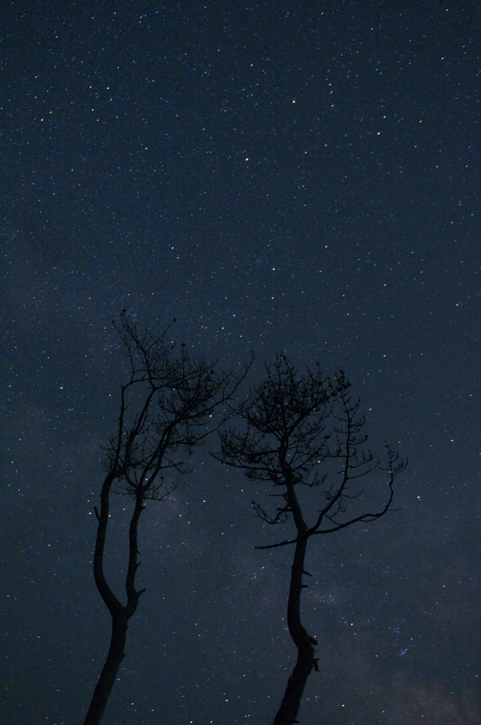 星降る夜空に