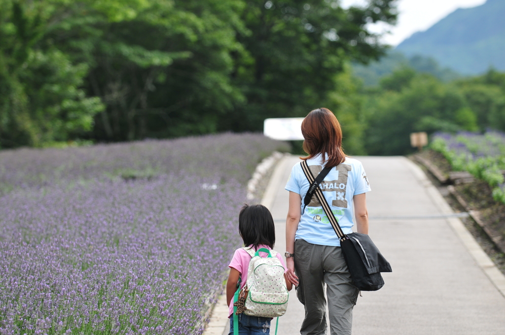 私の夏休み