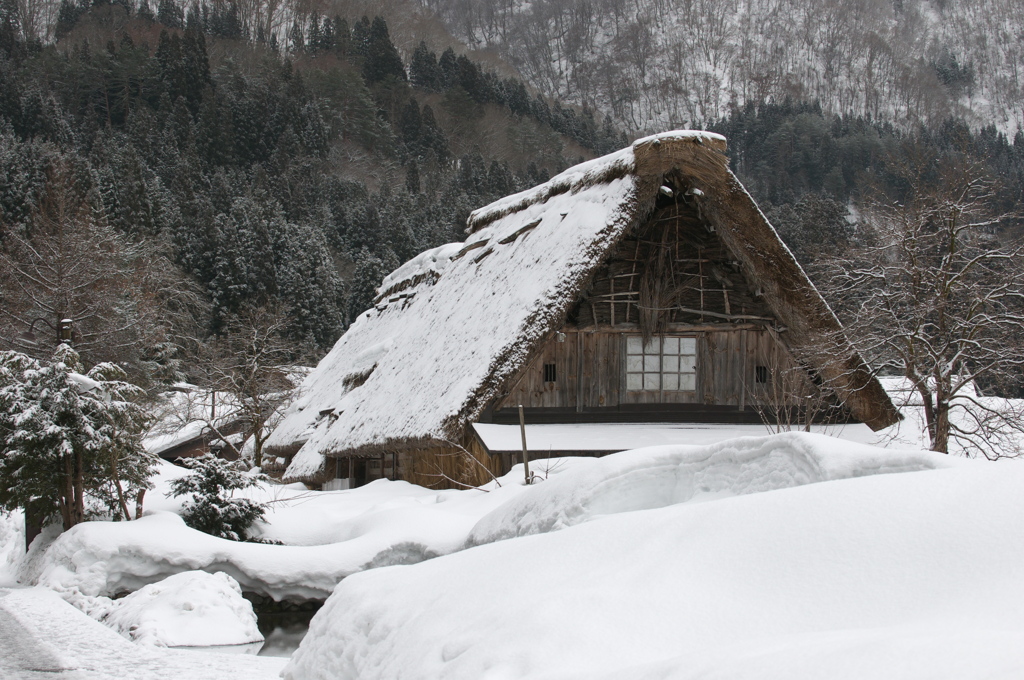 合掌造りと雪