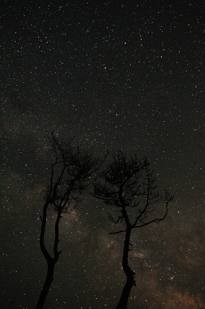 星降る夜に（再現像）