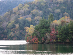 湯ノ湖紅葉