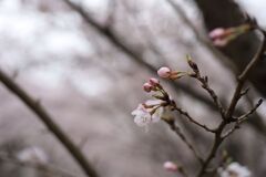 IMG_1956