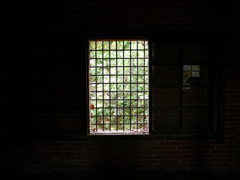 P1080675