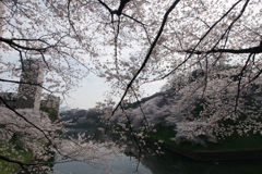 P1010243