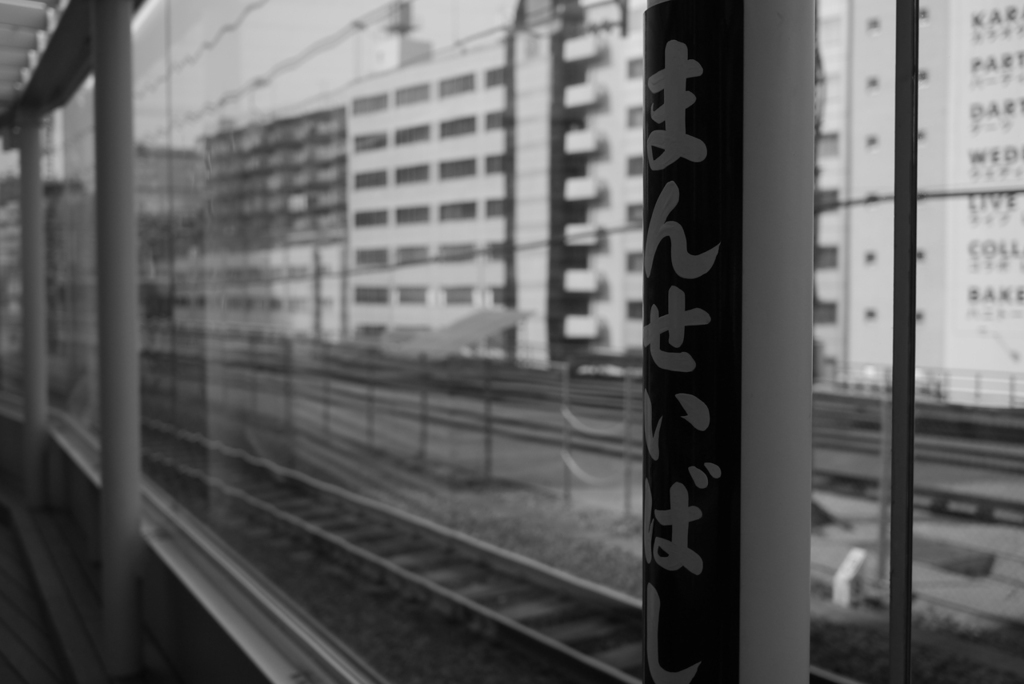 P1030863