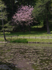 P1010347