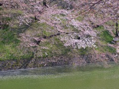 P1030855