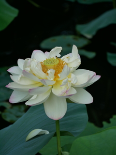 P1200215