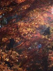 P1070842