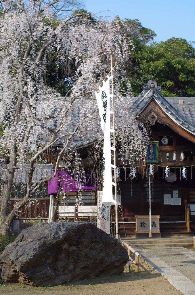 IMGP2460