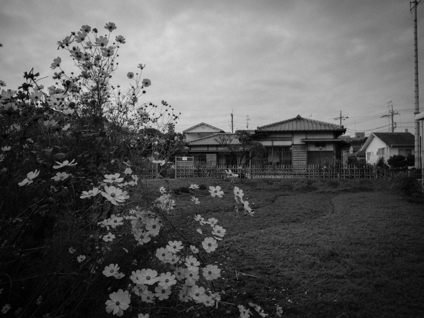 P1070357