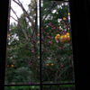 IMGP0158