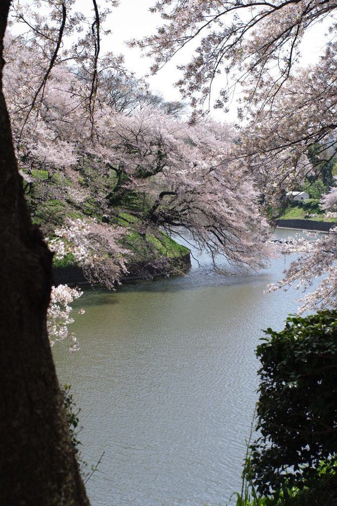 IMGP0619