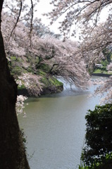 IMGP0619