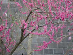 P1050425