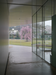 P1050965