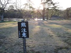 IMG_1459