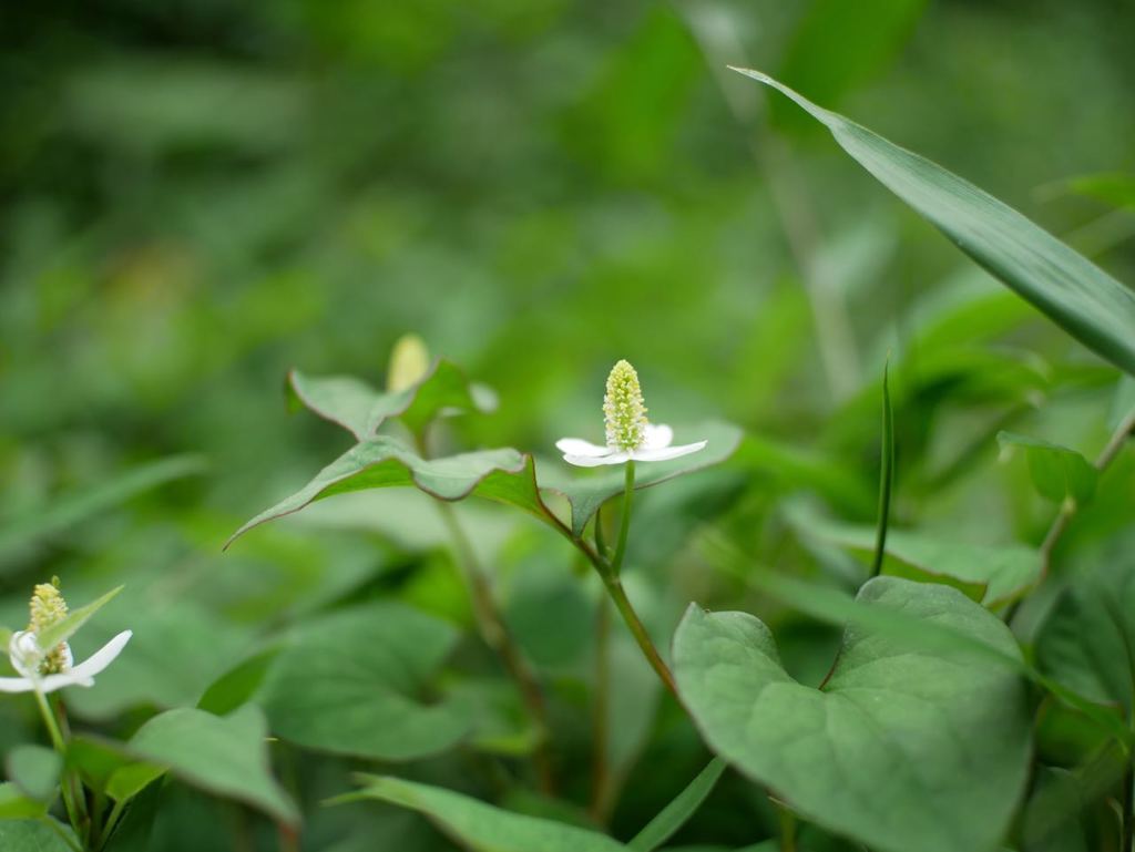 P1070351