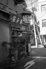 P1000746
