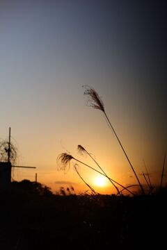 IMG_0568