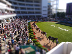 P1020075-tiltshift