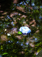 P1010597