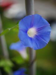 P1070616