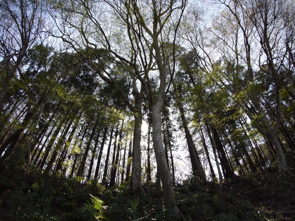 P1090209