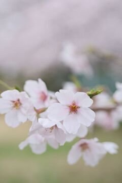 IMG_1951