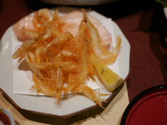 P1050669