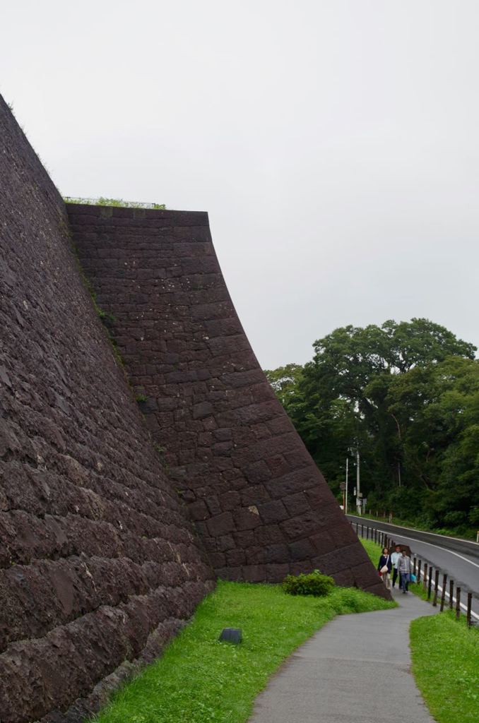 IMGP1566