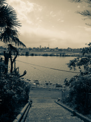 P1050279