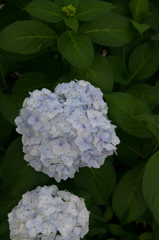 IMGP7093