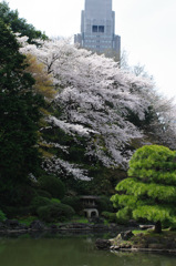 IMGP8526