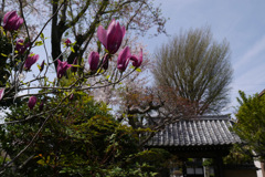 P1070664